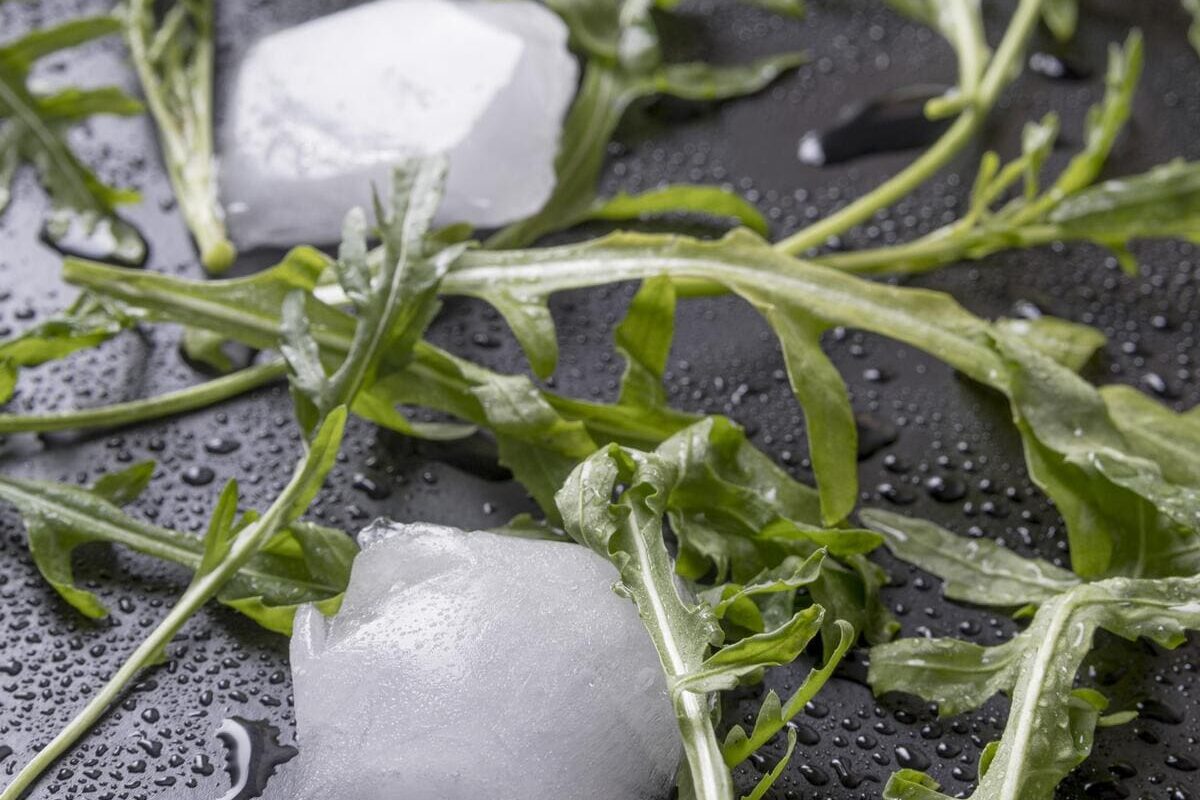 close-up-salad-leaves-with-salt-table