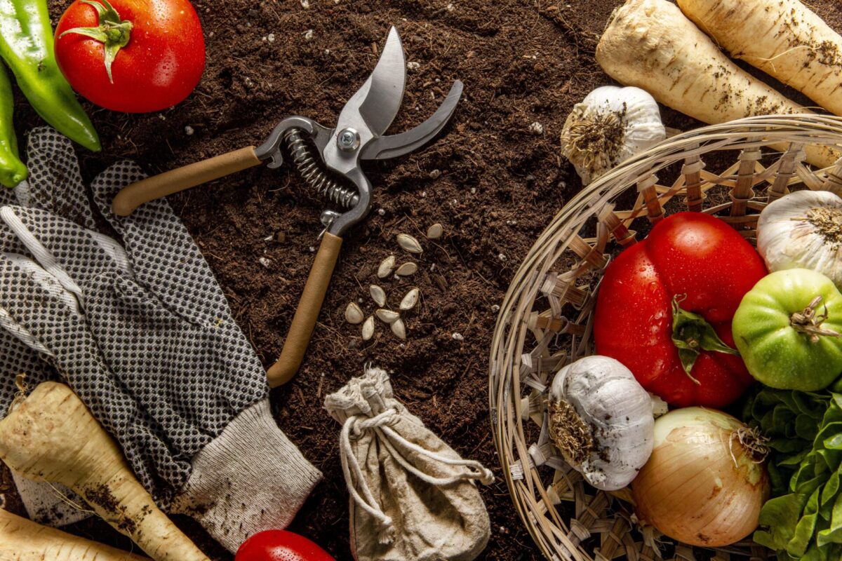 top-view-basket-veggies-with-scissors